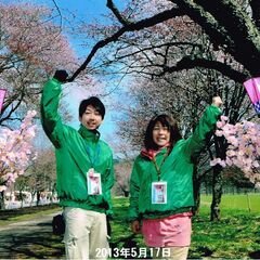 毎年大人気！静内桜まつり写真販売スタッフ募集！高時給！