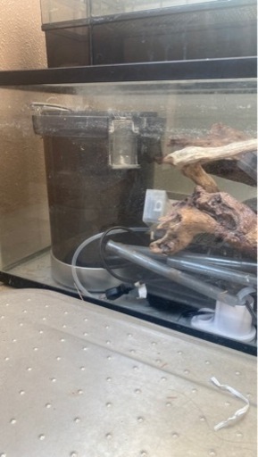 60cm 水槽 アクアリウム用品その他