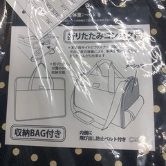 新品未使用ペットバッグ　〜6キロまで【値下げしました！】の画像