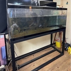 引き取り限定】アクリル大型水槽台付 上部濾過