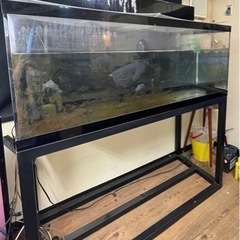 引き取り限定】アクリル大型水槽台付 上部濾過