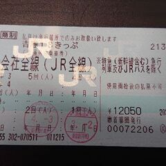 青春18きっぷ 3回(人)分 4999円
