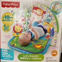 レインフォレスト指遊びミュージアムの画像