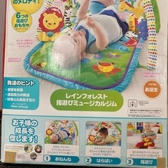 レインフォレスト指遊びミュージアムの画像