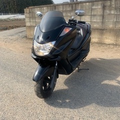 ヤマハマジェスティC 250 実働！