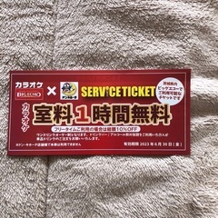 ビックエコー　チケット