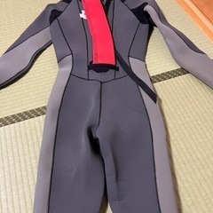 QUICK silverウェットスーツの画像