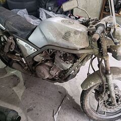 お譲りしますの画像