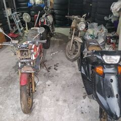 お譲りしますの画像