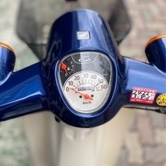 ホンダ  スーパーカブ50  の画像