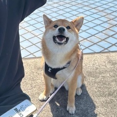 バドミントンしませんか‼️鹿嶋.神栖