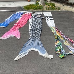 【大幅値下げ】鯉のぼり 東レ太郎鯉 6mの画像