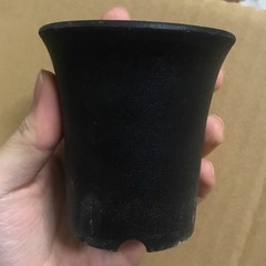 【5個】中古 2.5号ミニ蘭鉢 ハオルチア エケベリア コーデッ...
