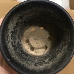 【5個】中古 2.5号ミニ蘭鉢 ハオルチア エケベリア コーデックス 等の画像