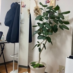 【お譲り先決定】回転式 姿見 ハンガーラック付きの画像