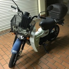 スズキ　バーディー50BA43A(少し安くしました)の画像