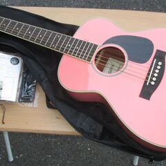 ☆レジェンド Legend ARIA FG-20K PK アコー...