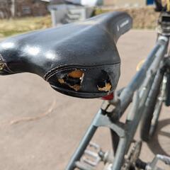 BMX決まりました