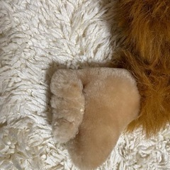 決まりました！オランウータンぬいぐるみ☆約25cm（訳アリ)の画像