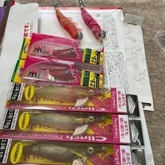 エギング　えぎ　