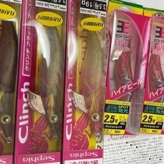 エギング　えぎ　の画像