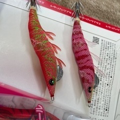 エギング　えぎ　の画像