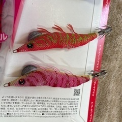エギング　えぎ　の画像