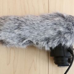 ◆ 1回使用 新品同 CANON  DM-E1 ◆ の画像
