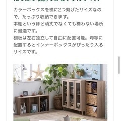 収納ボックスダブル ナチュラルエルム S41 カラーボックスの画像