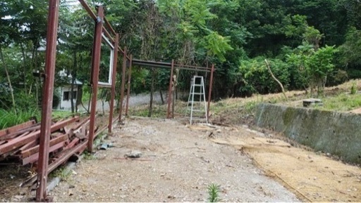 伐採　抜根　解体　相見積歓迎