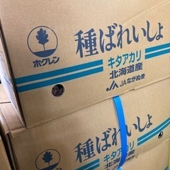 種芋　キタアカリ　Lサイズ　10kg