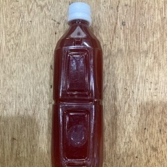 PSB   500ml メダカ　めだか　
ミジンコ　針子　などの...