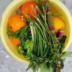 手作り酵素ドリンク教室の画像