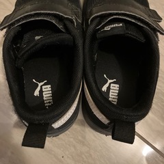 PUMA１８ｃｍスニーカーの画像