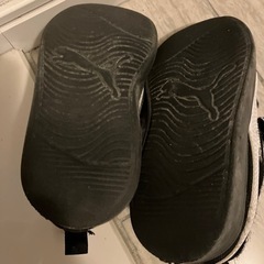 PUMA１８ｃｍスニーカーの画像