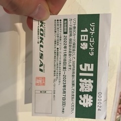 国際の1日チケット