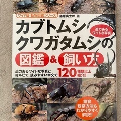 カブトムシ クワガタムシ　図鑑&飼い方
