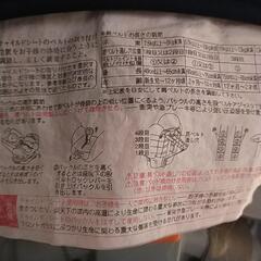 　近日中に処分します　アップリカ　チャイルドシート　くまのダブルヘッドカバーとおまけつきの画像