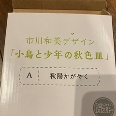 新品未使用　プレート2点の画像