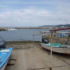 🎣気ままな釣り仲間‼️相模湾長井港（ボート船外機）‼️初心者大歓迎‼️ - 横須賀市