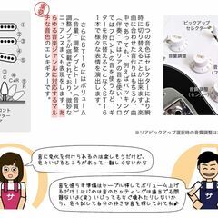 入門用エレキギター （アンプ・ケース・スタンド・チューナー・ピック等10点セット）の画像