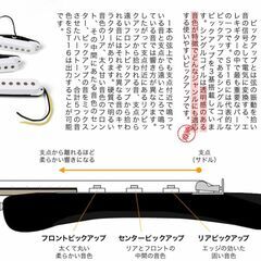 入門用エレキギター （アンプ・ケース・スタンド・チューナー・ピック等10点セット）の画像