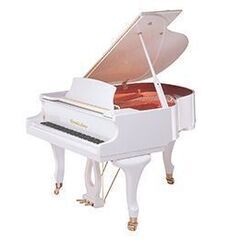 BLUEBERRY PIANO SCHOOL