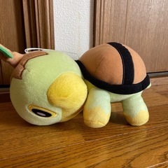 ナエトルの画像