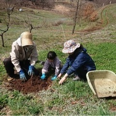 一緒に木を植えてみませんか？ - メンバー募集