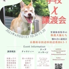 学校x譲渡会
