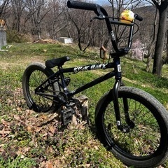 KINK CURB BMX
