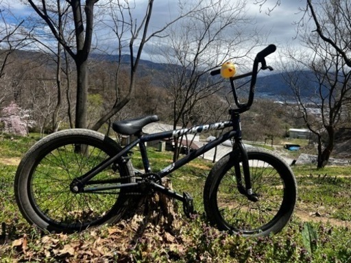KINK CURB BMX