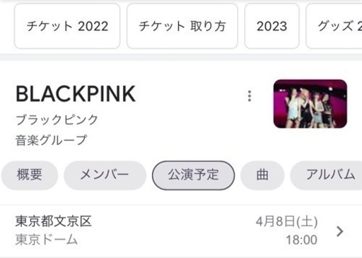 black pink チケット✖️2枚 black pink チケット2枚