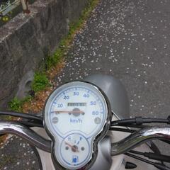 じゃまなので、整備して。ビーノsa26の画像